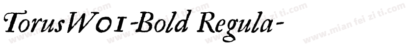 TorusW01-Bold Regula字体转换
